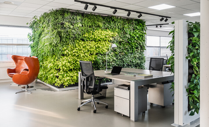 Indoor Living Wall